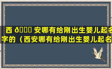 西 🐞 安哪有给刚出生婴儿起名字的（西安哪有给刚出生婴儿起名字 🐺 的地方）